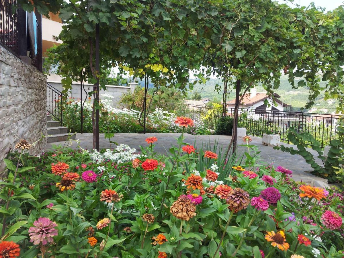 Villa Visoka Baltjik Exteriör bild